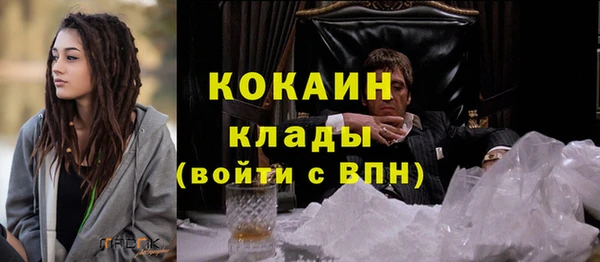 стафф Козловка