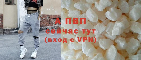стафф Козловка