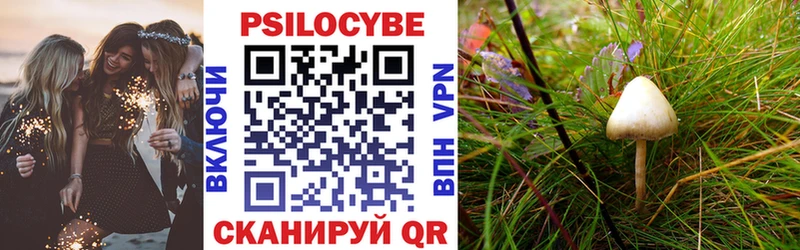 купить наркотик это официальный сайт Галлюциногенные грибы Cubensis Котлас